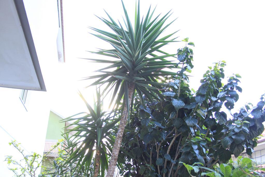 B&B Mimosa Giardini Naxos Exterior foto
