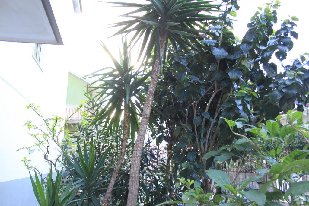 B&B Mimosa Giardini Naxos Exterior foto